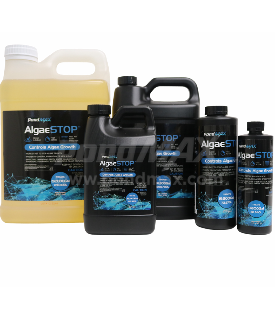 Algae Treatment